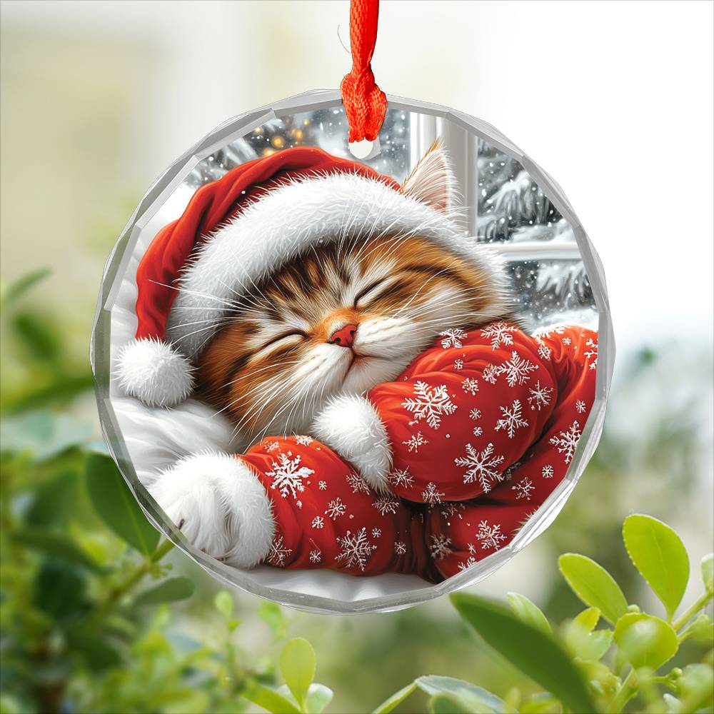 Persian cat Sleeping In Bed Design 1