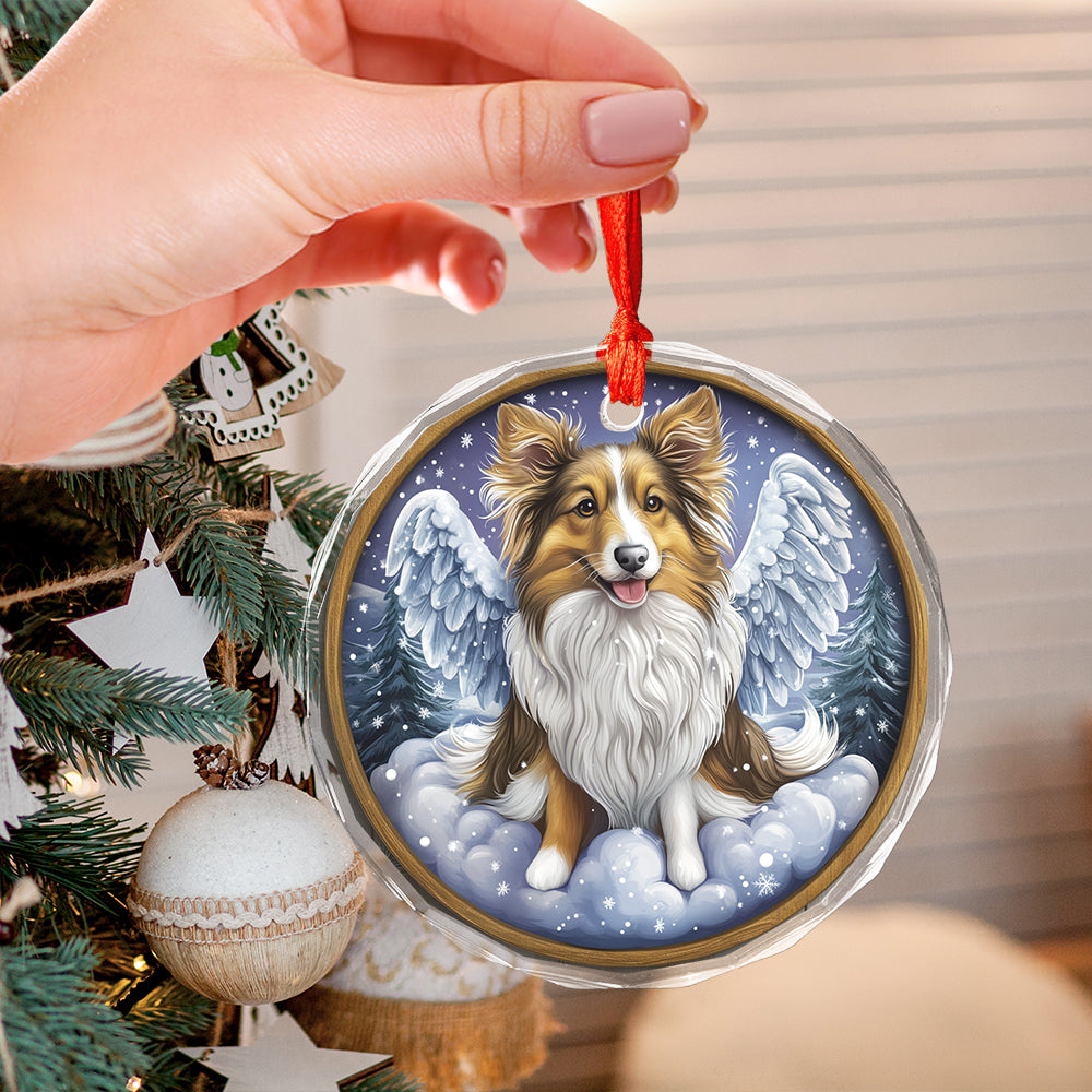 Angel Shetland Sheepdog 3