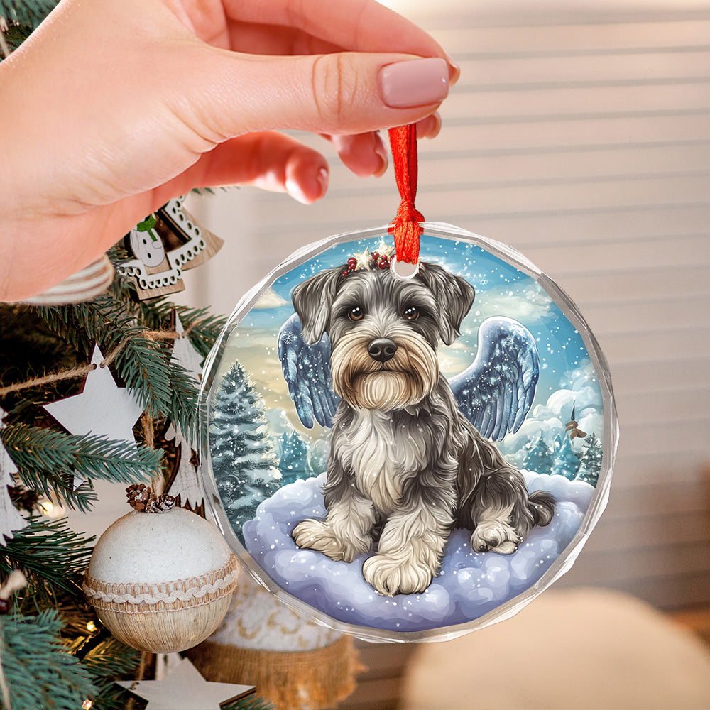 Angel Miniature Schnauzer Dog 1