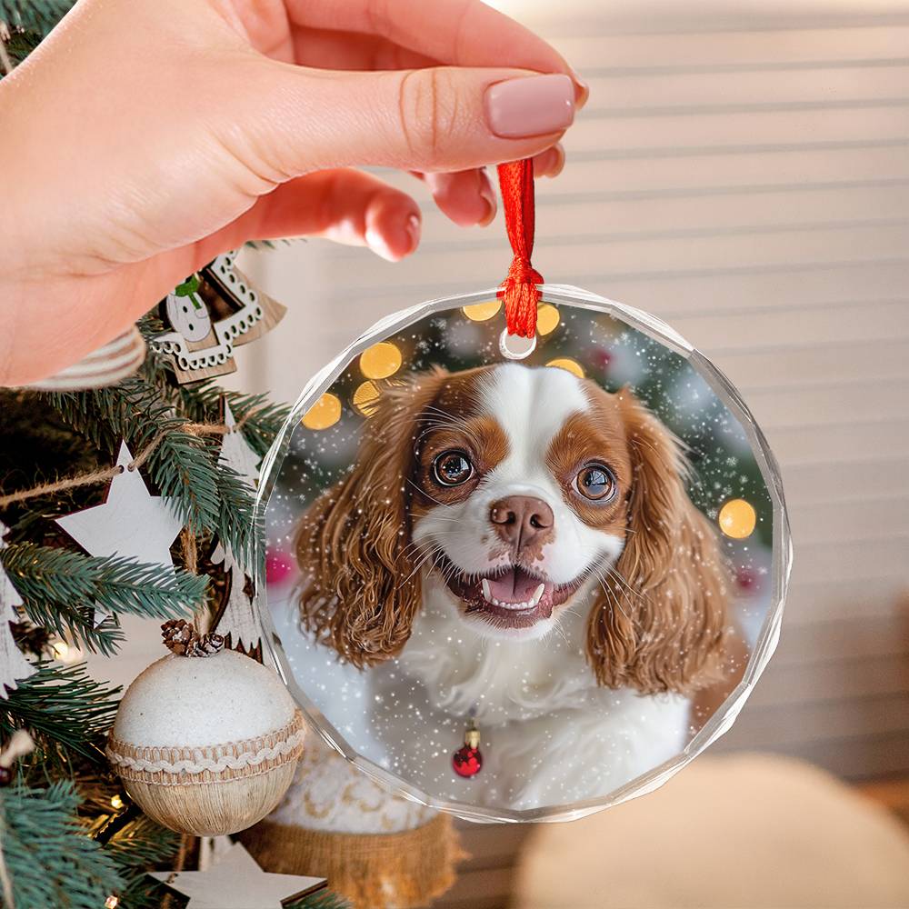 Beautiful Angus Cavalier King Charles Spaniel Dog Christmas Night Design 2 Glass Ornament