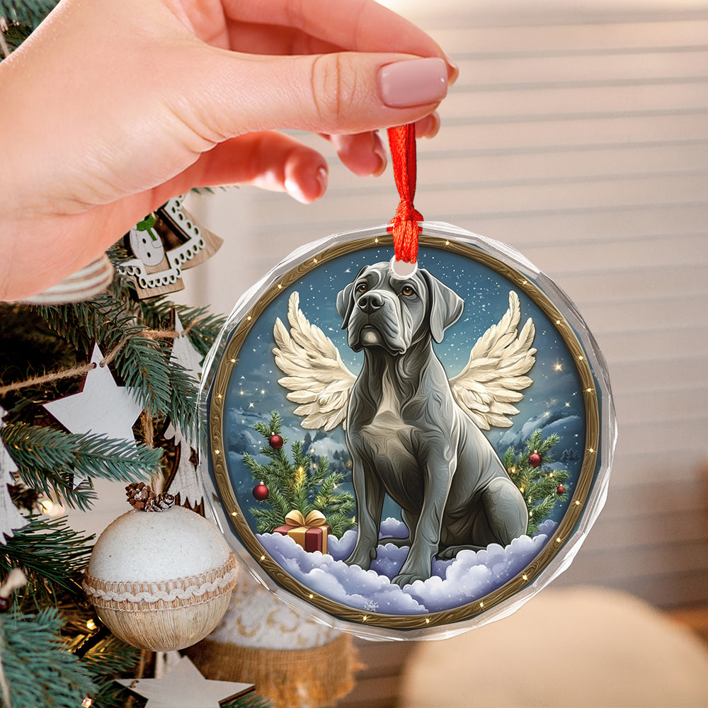 Angel Mastiff Dog 4