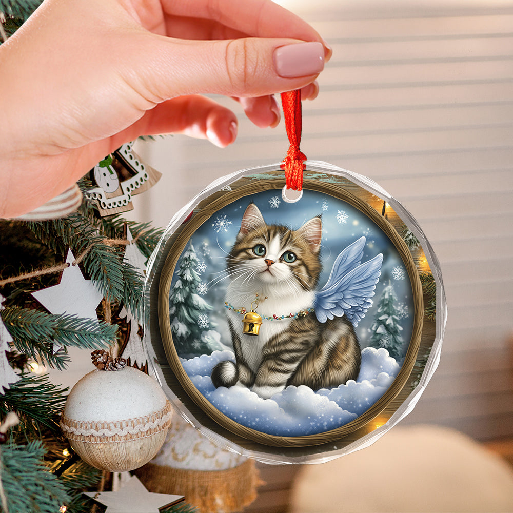 Angel Norwegian Forest Cat 3