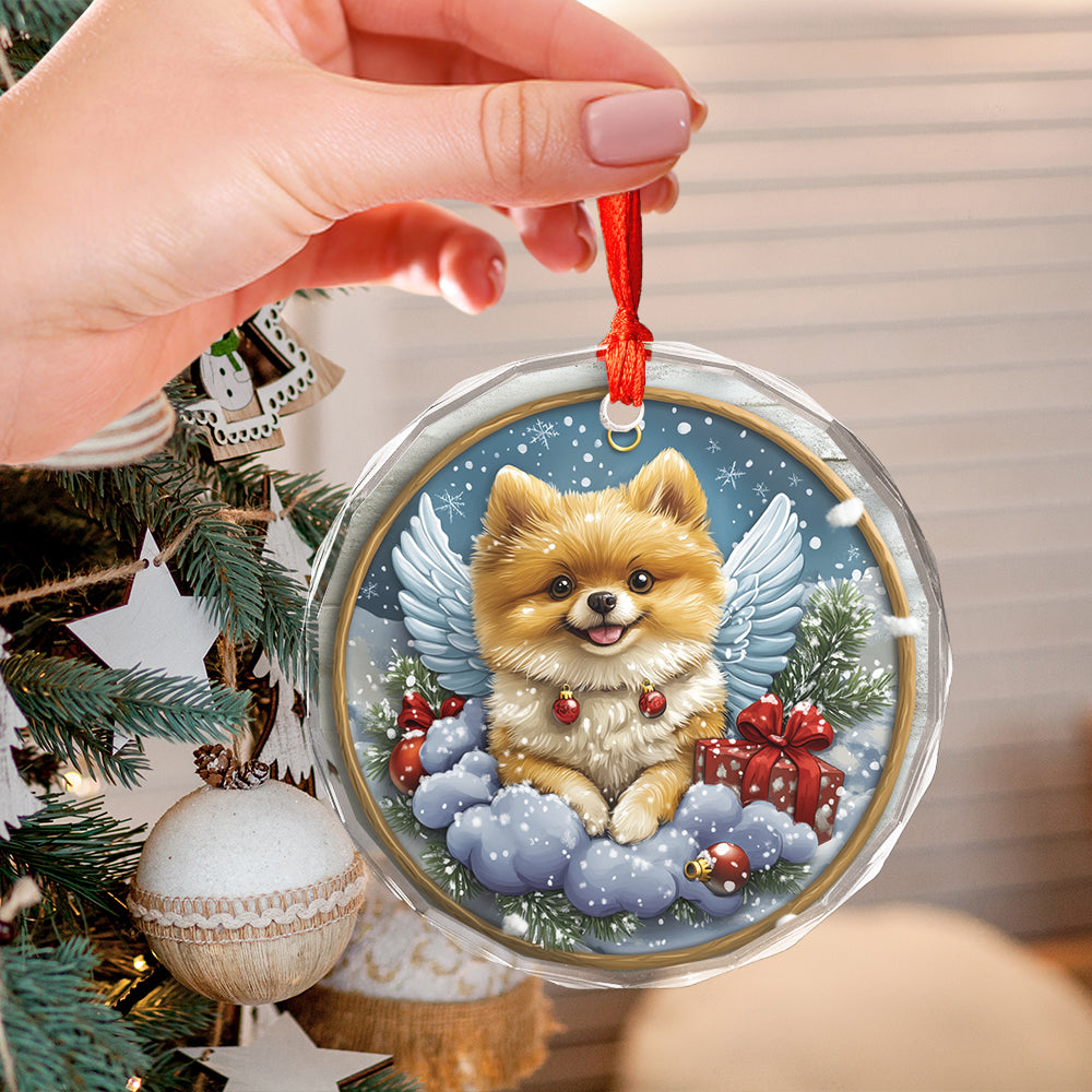 Angel Pomeranian Dog 2