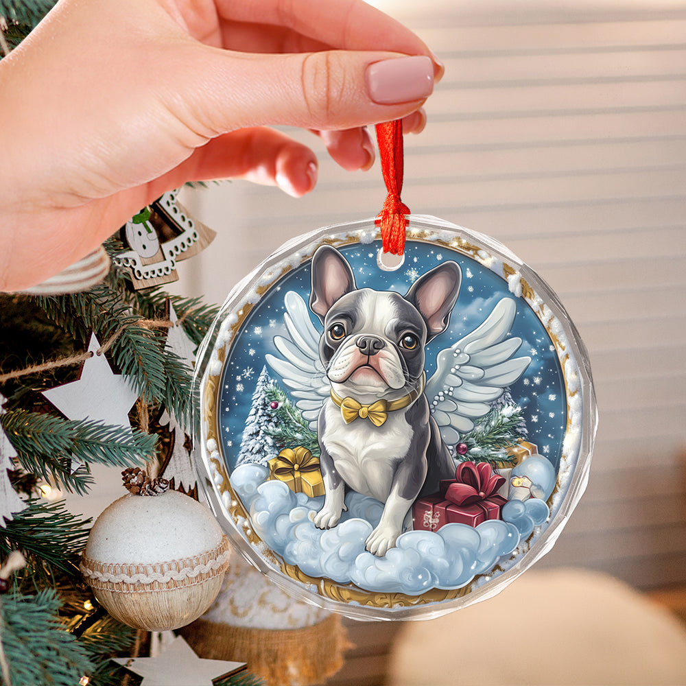 Angel Boston Terrier Dog 4