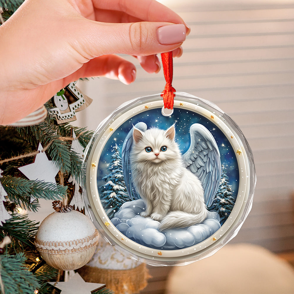 Angel Turkish Angora 2