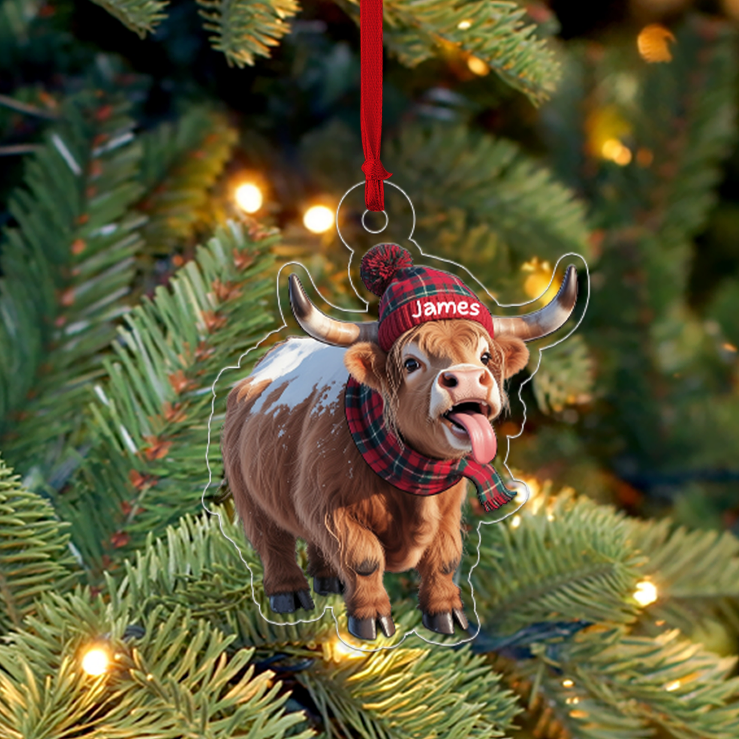 Highland Cattle