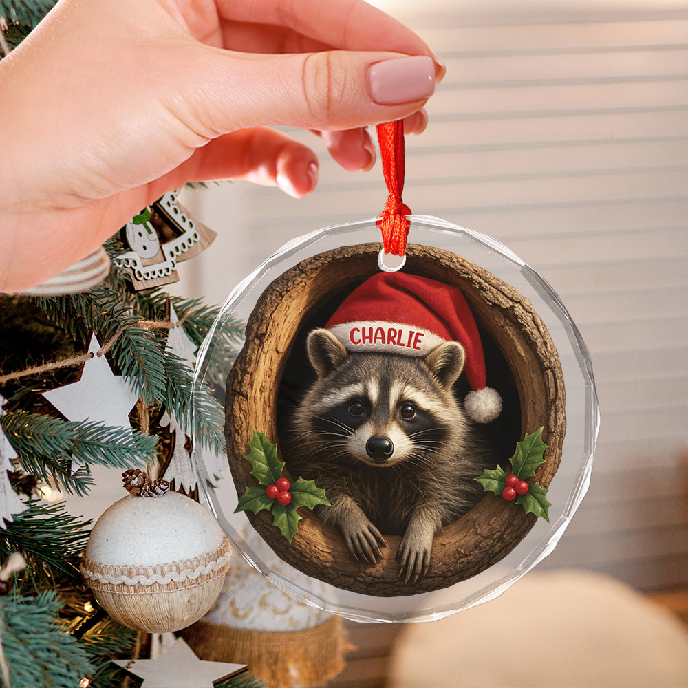 Custom Name Raccoon Xmas