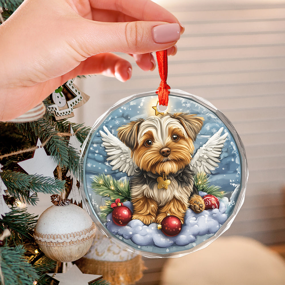 Angel Yorkshire Terrier Dog 3
