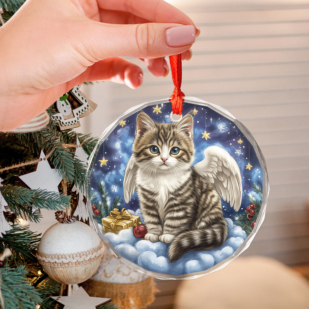 Angel American Shorthair Cat 2