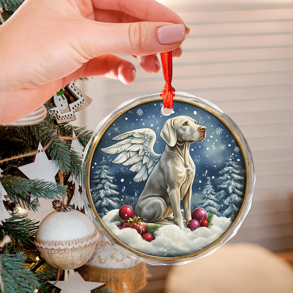 Angel Weimaraner Dog 4