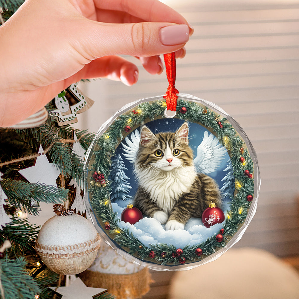 Angel Siberian Cat 1