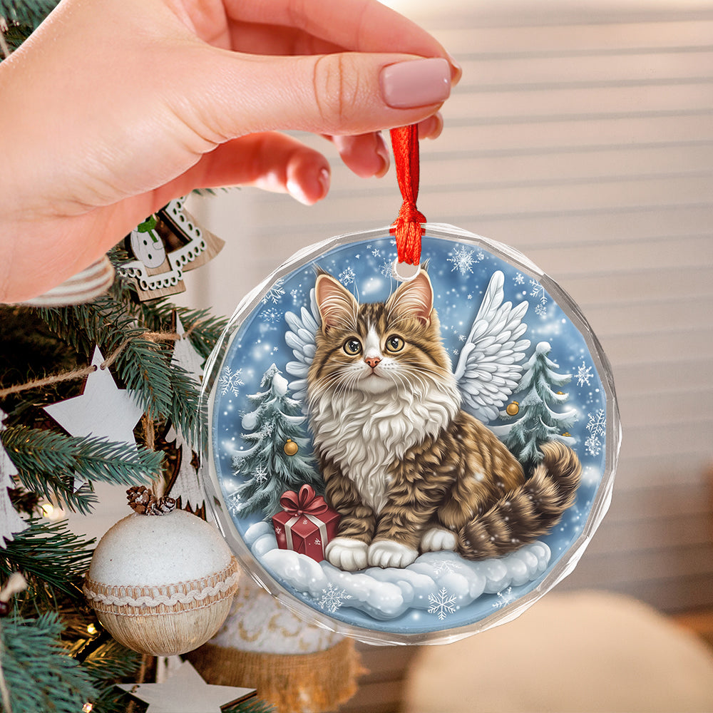 Angel Norwegian Forest Cat 2