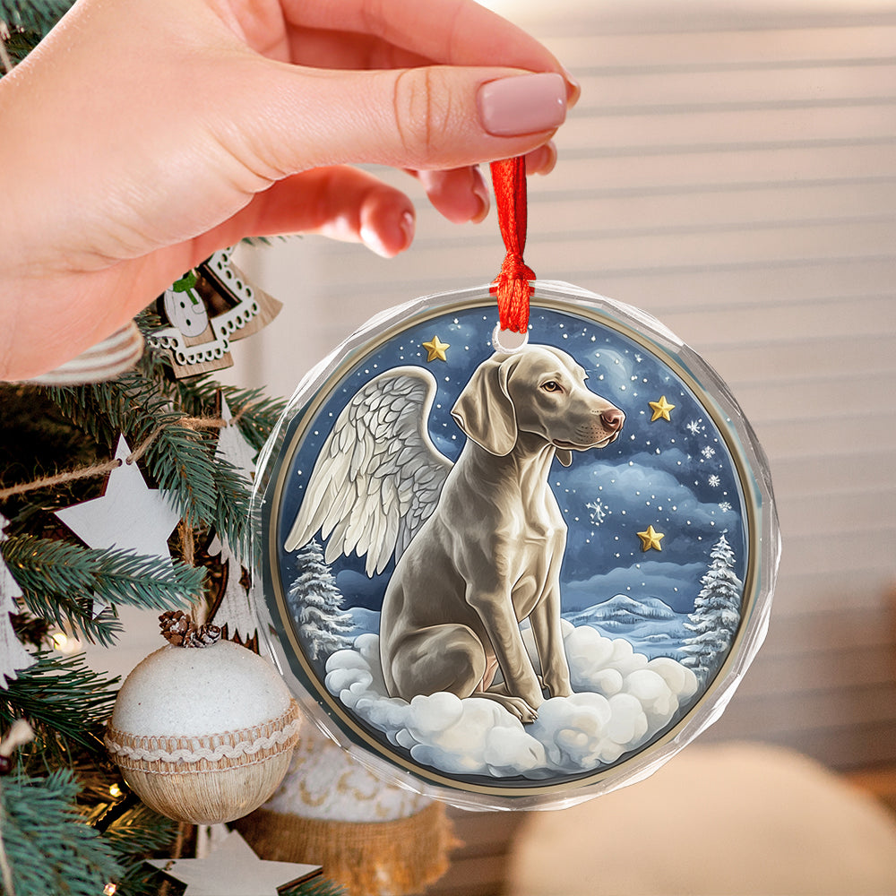 Angel Weimaraner Dog 2
