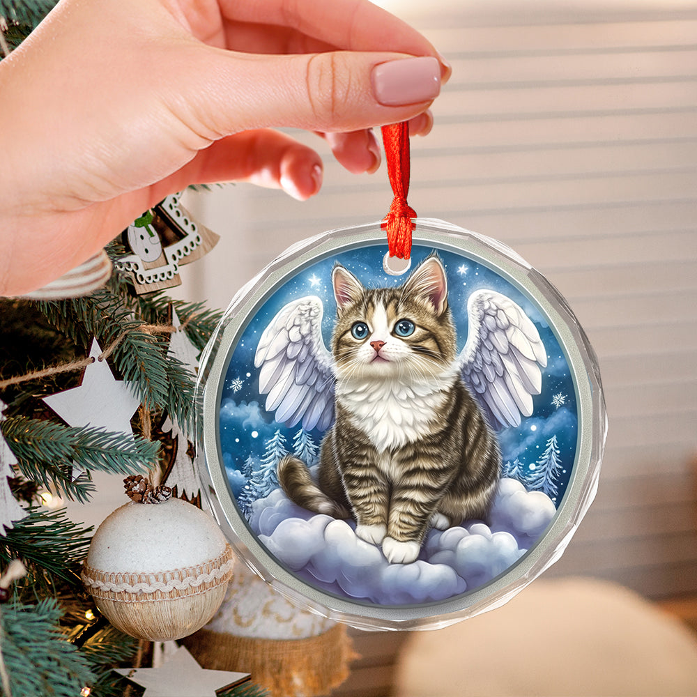 Angel American Shorthair Cat 1