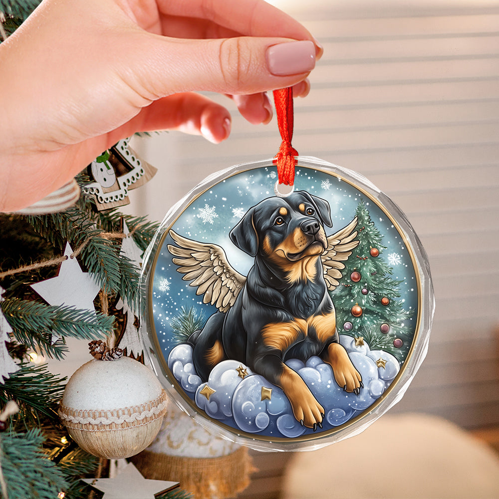 Angel Rottweiler Dog 3