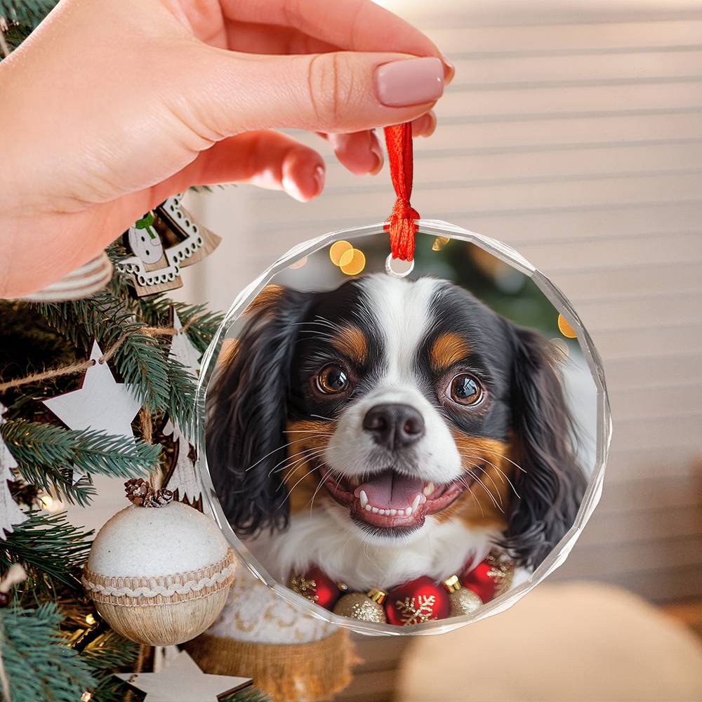 Beautiful Angus Cavalier King Charles Spaniel Dog Christmas Night Design 3 Glass Ornament