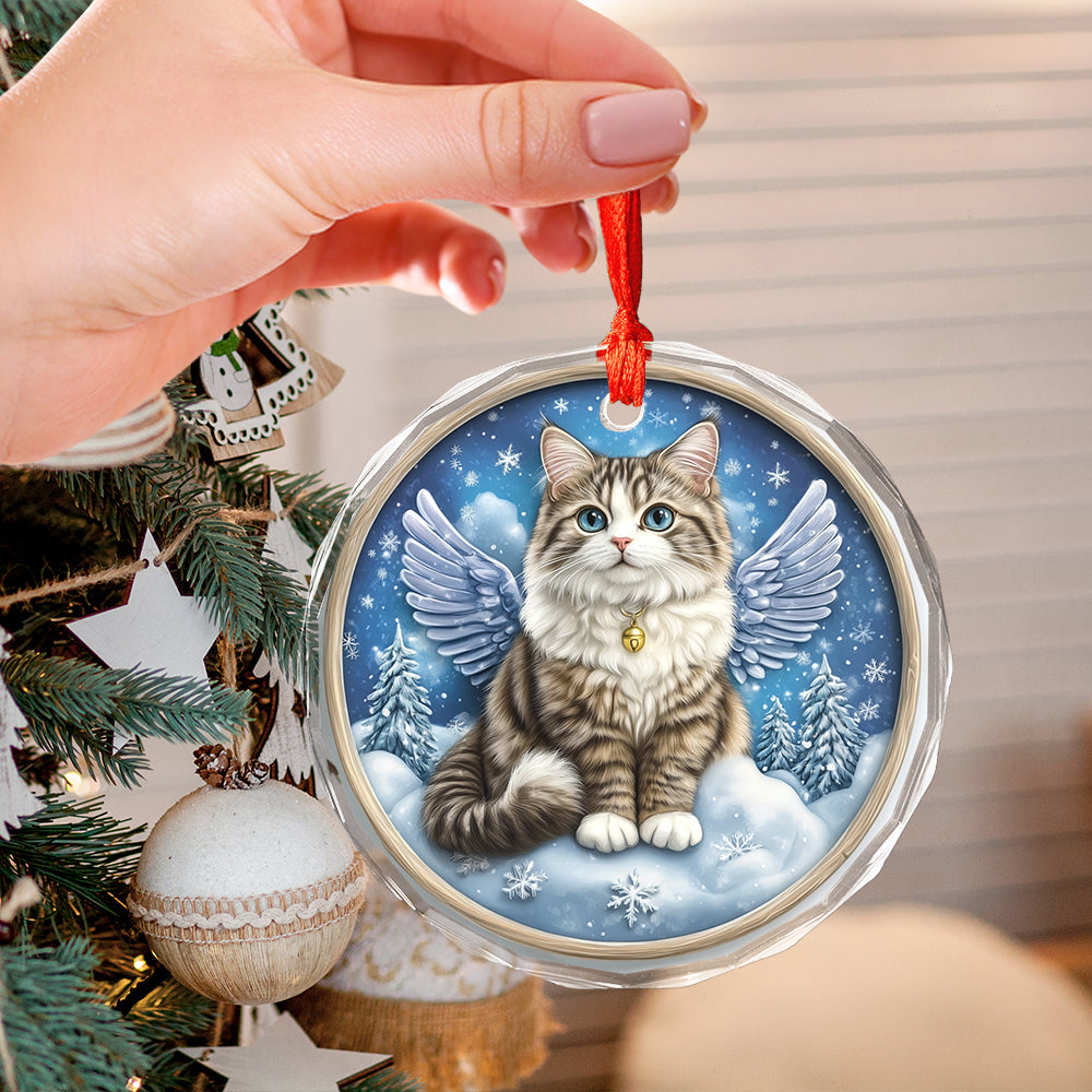 Angel Siberian Cat 4