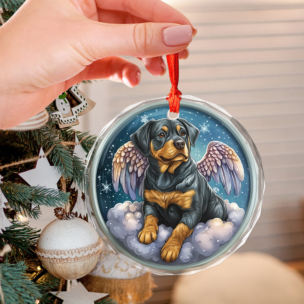 Angel Rottweiler Dog 4
