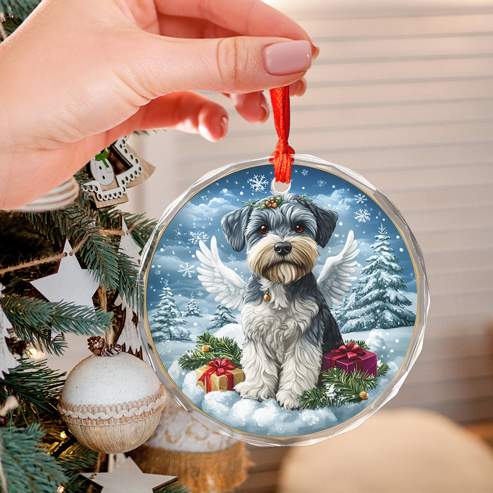 Angel Miniature Schnauzer Dog 4