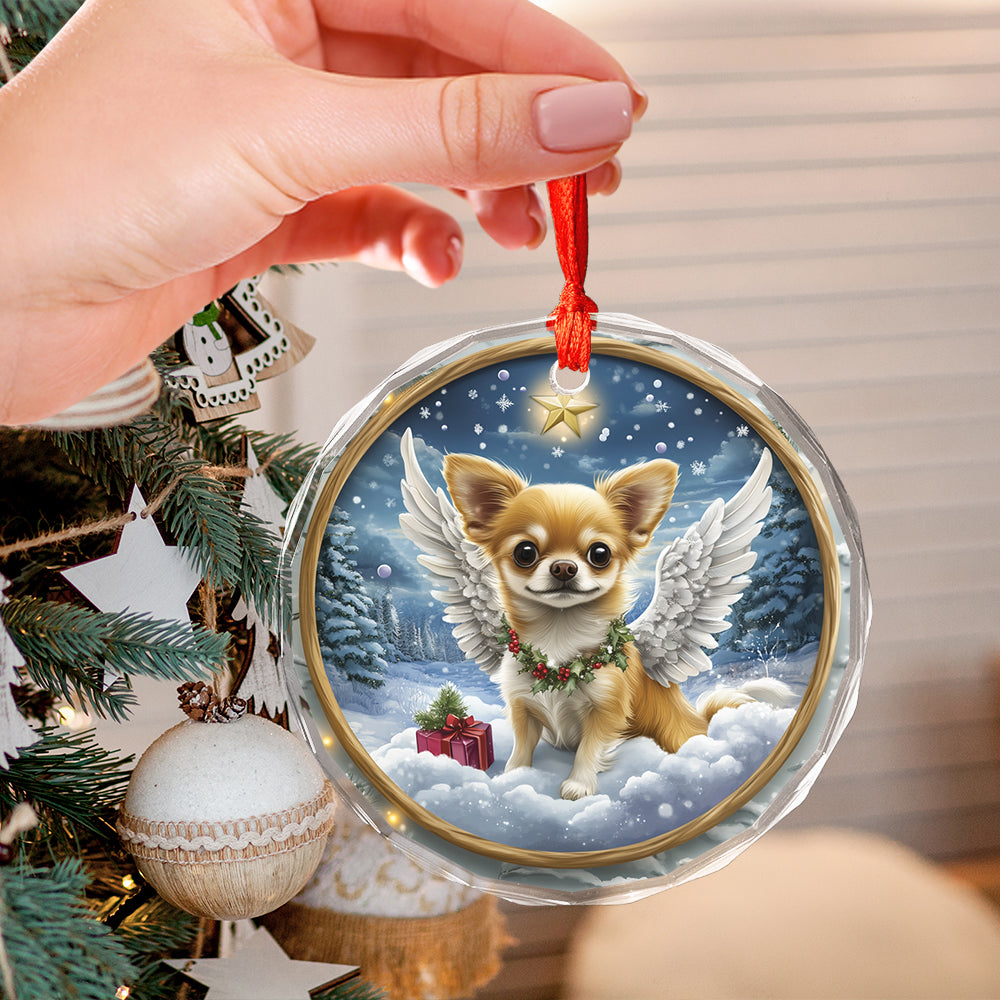 Angel Chihuahua Dog 3