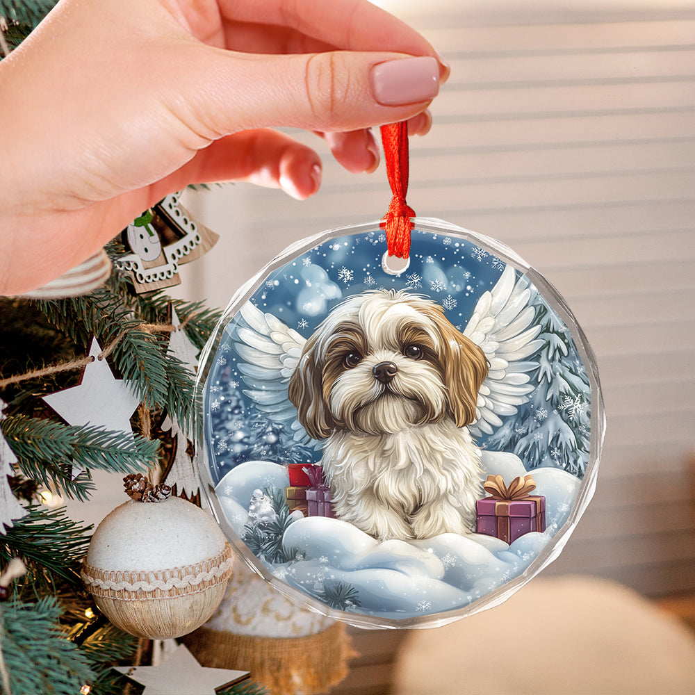 Angel Shih Tzu Dog 2