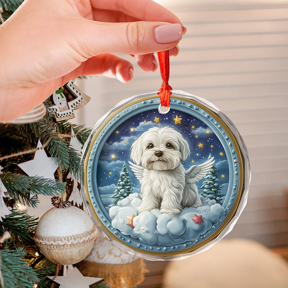 Angel Maltese Dog 1