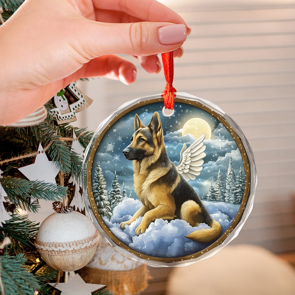 Angel German Shepherd Dog 4