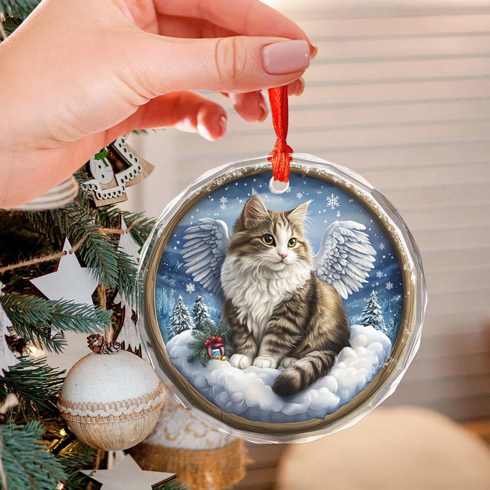 Angel Siberian Cat 2