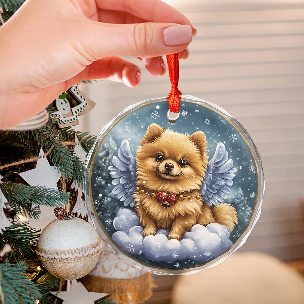 Angel Pomeranian Dog 4