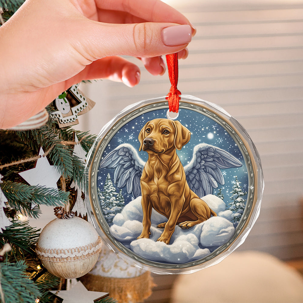 Angel Rhodesian Ridgeback Dog 3