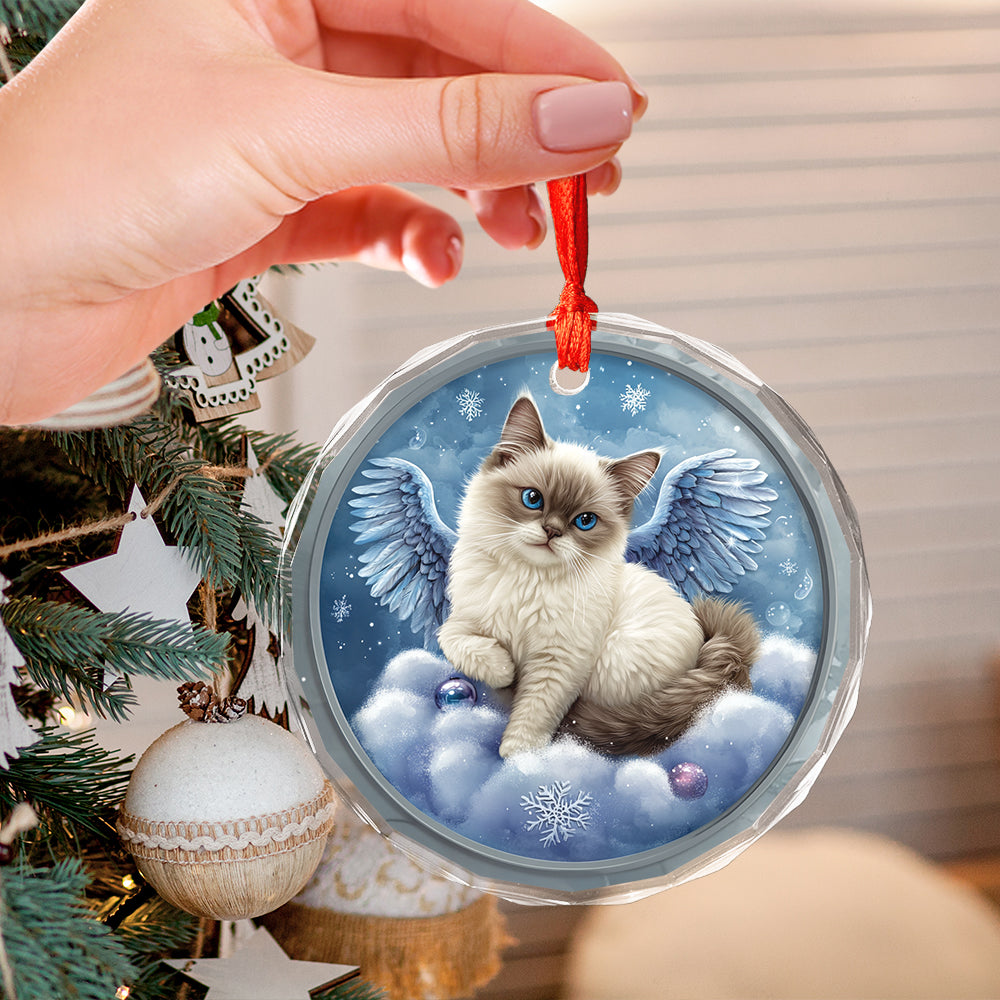 Angel Siamese Cat 1