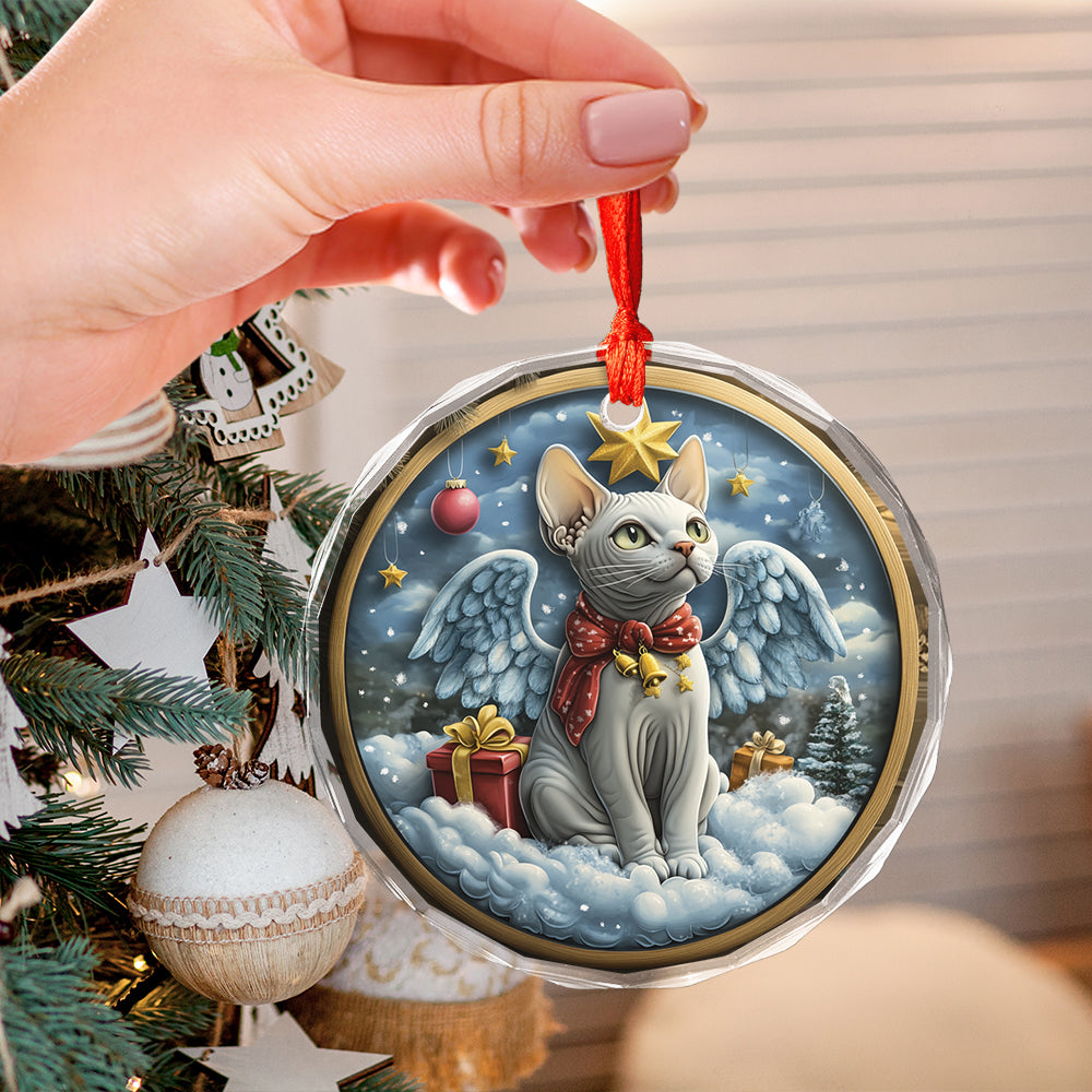 Angel Sphynx Cat 2