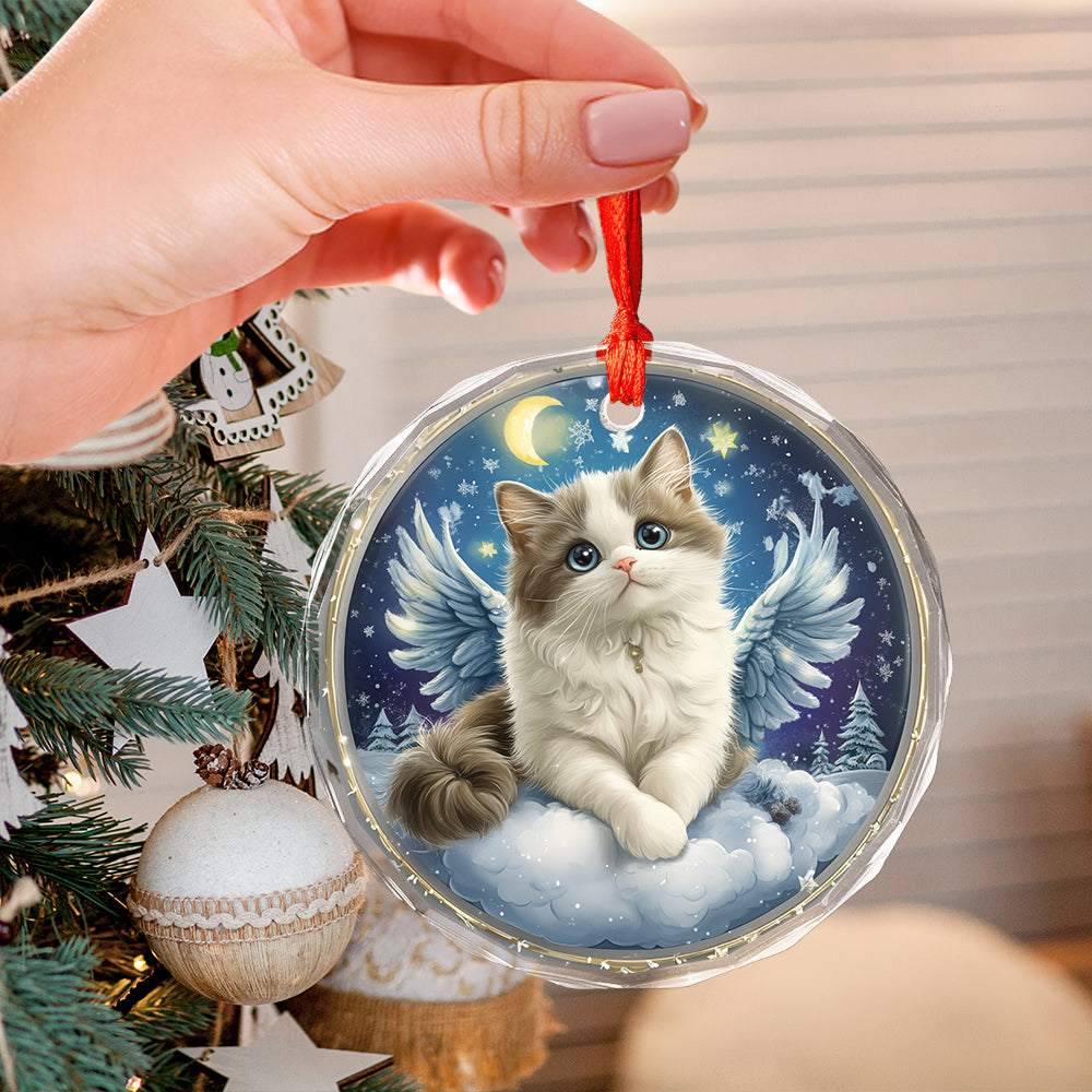 Angel Ragdoll Cat 1