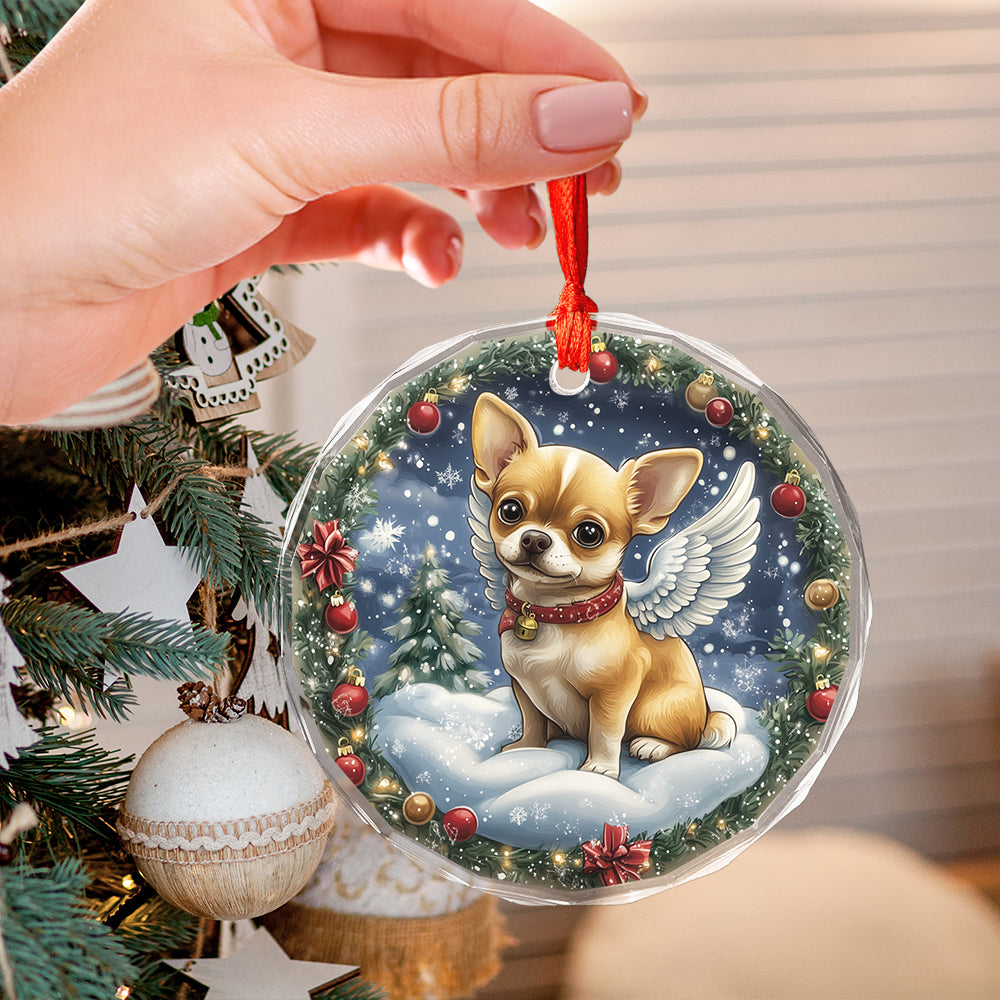 Angel Chihuahua Dog 2