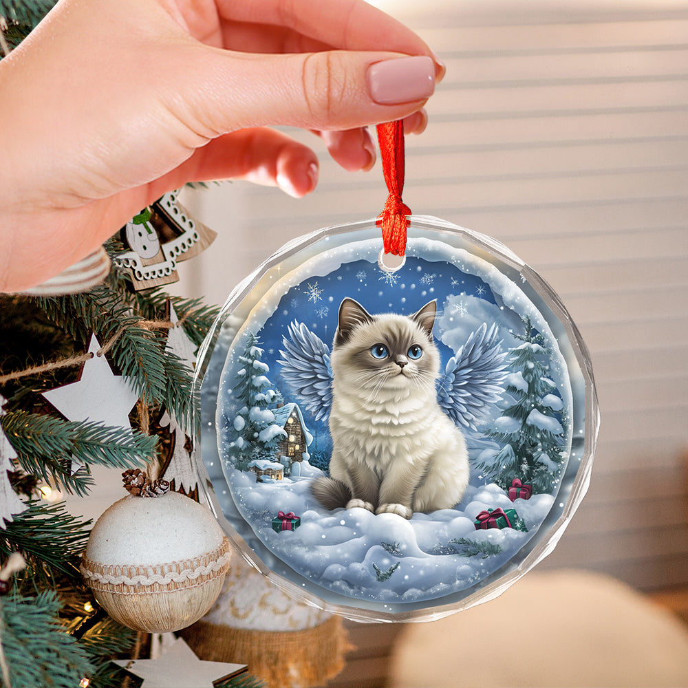 Angel Siamese Cat 2