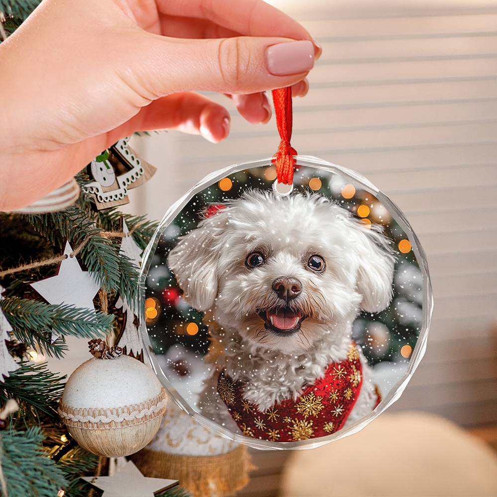 Beautiful Bichon Frise Dog Christmas Night Design 4 Glass Ornament