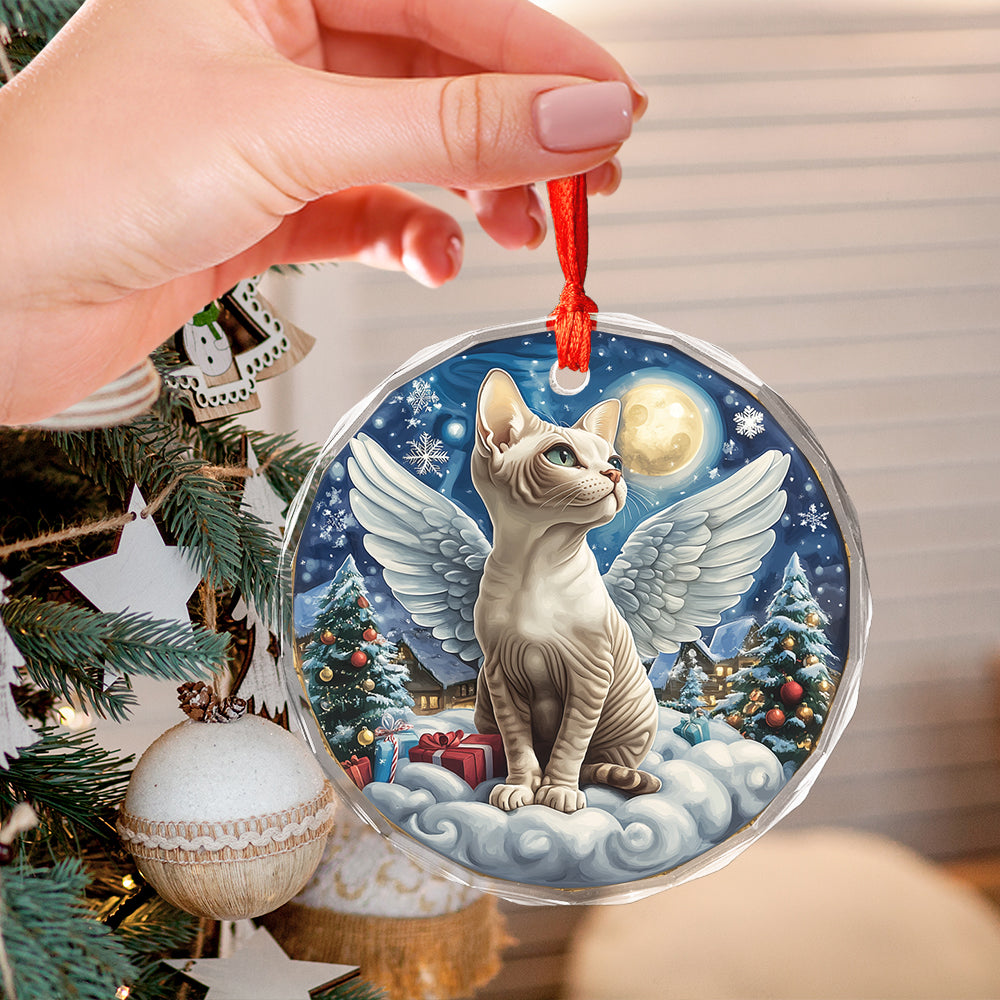 Angel Sphynx Cat 4