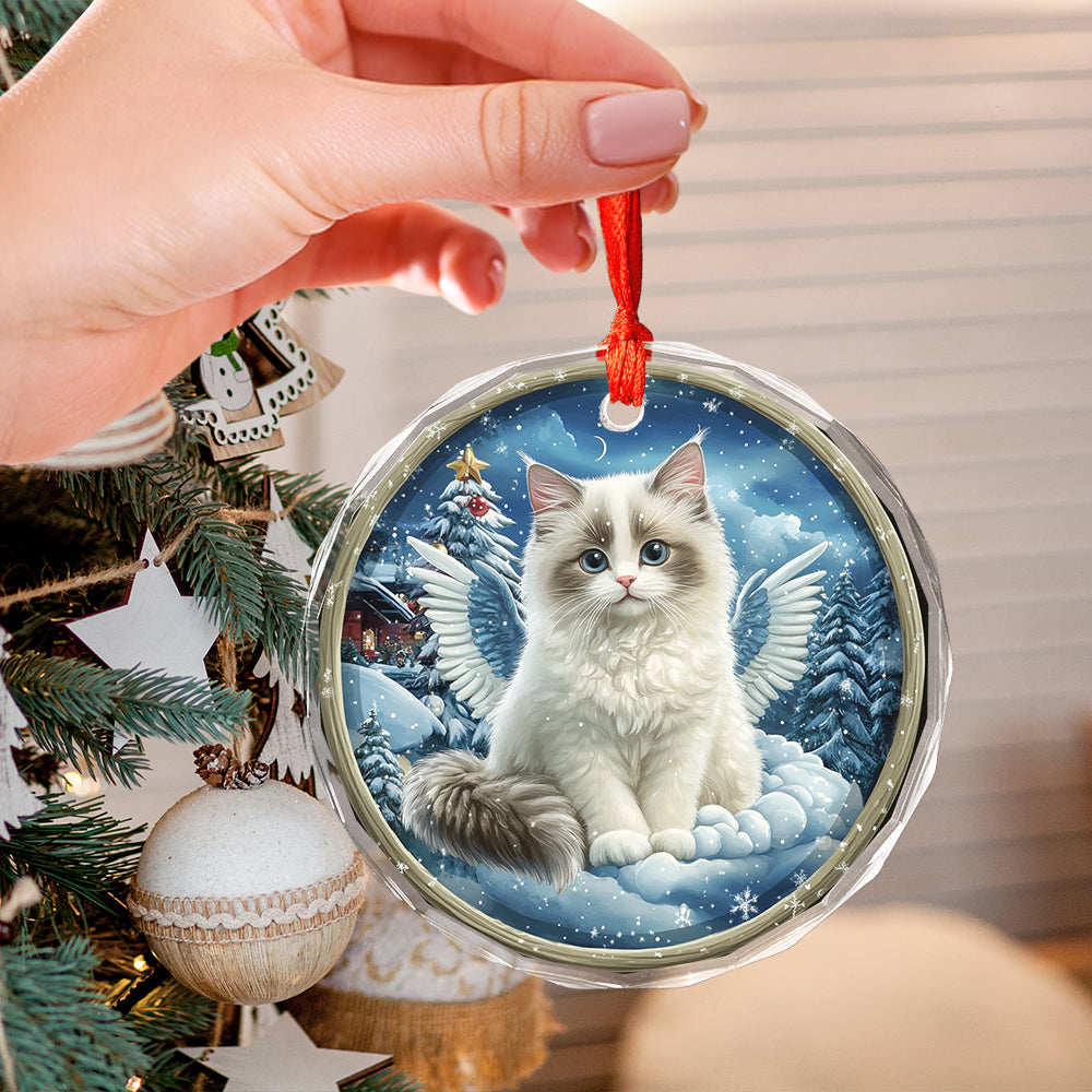Angel Ragdoll Cat 3