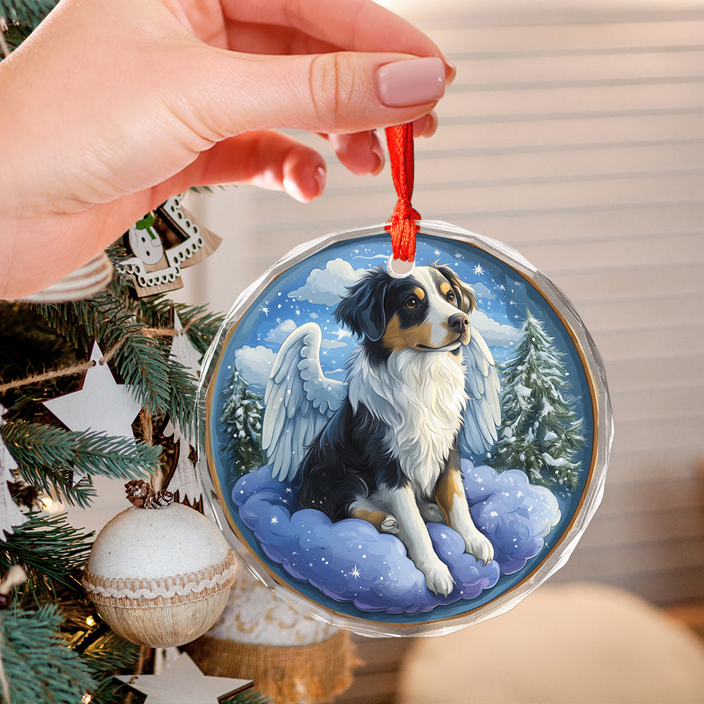Angel Border Collie Dog 2