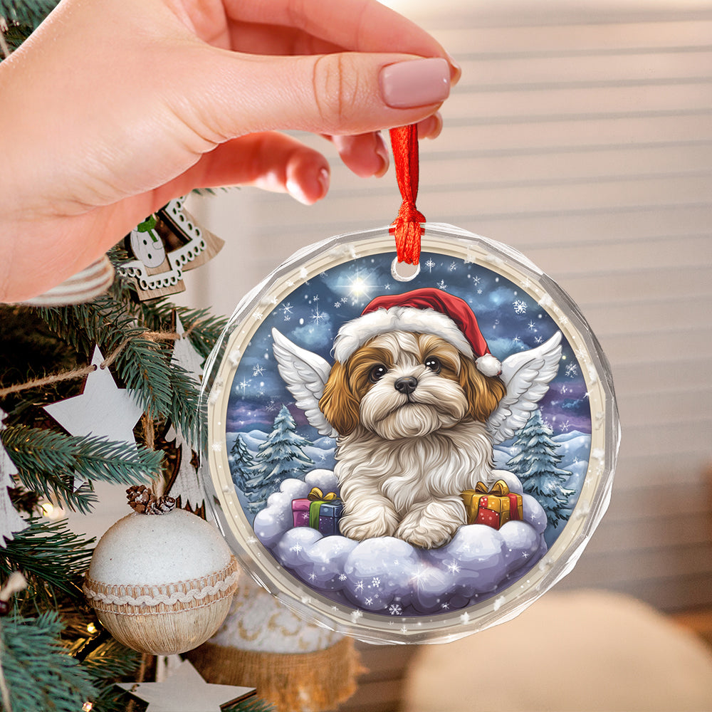 Angel Shih Tzu Dog 3