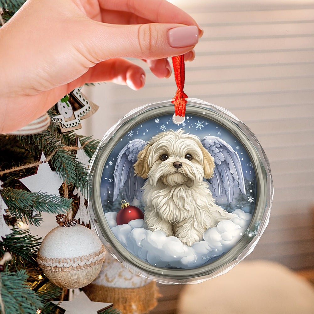 Angel Maltese Dog 3
