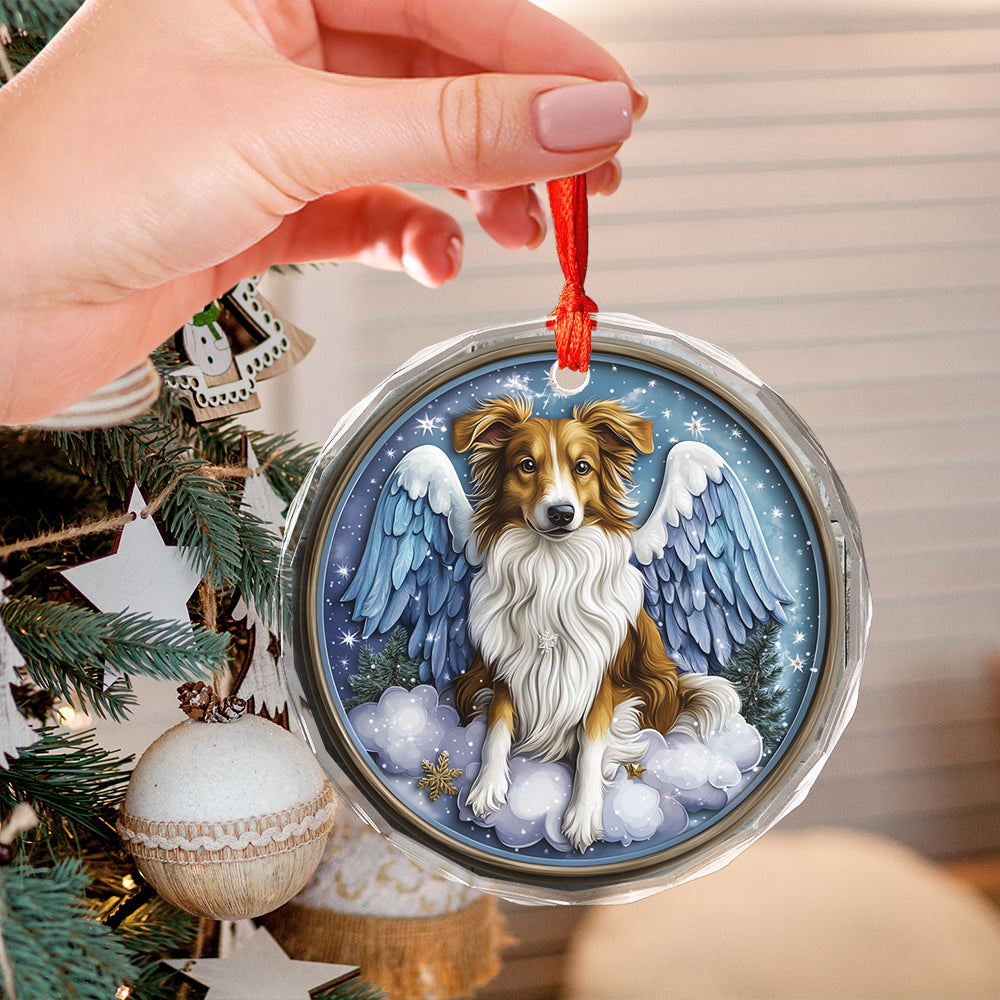 Angel Shetland Sheepdog 1
