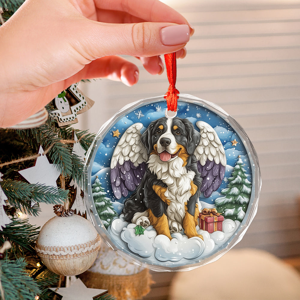 Angel Bernese Mountain Dog 3