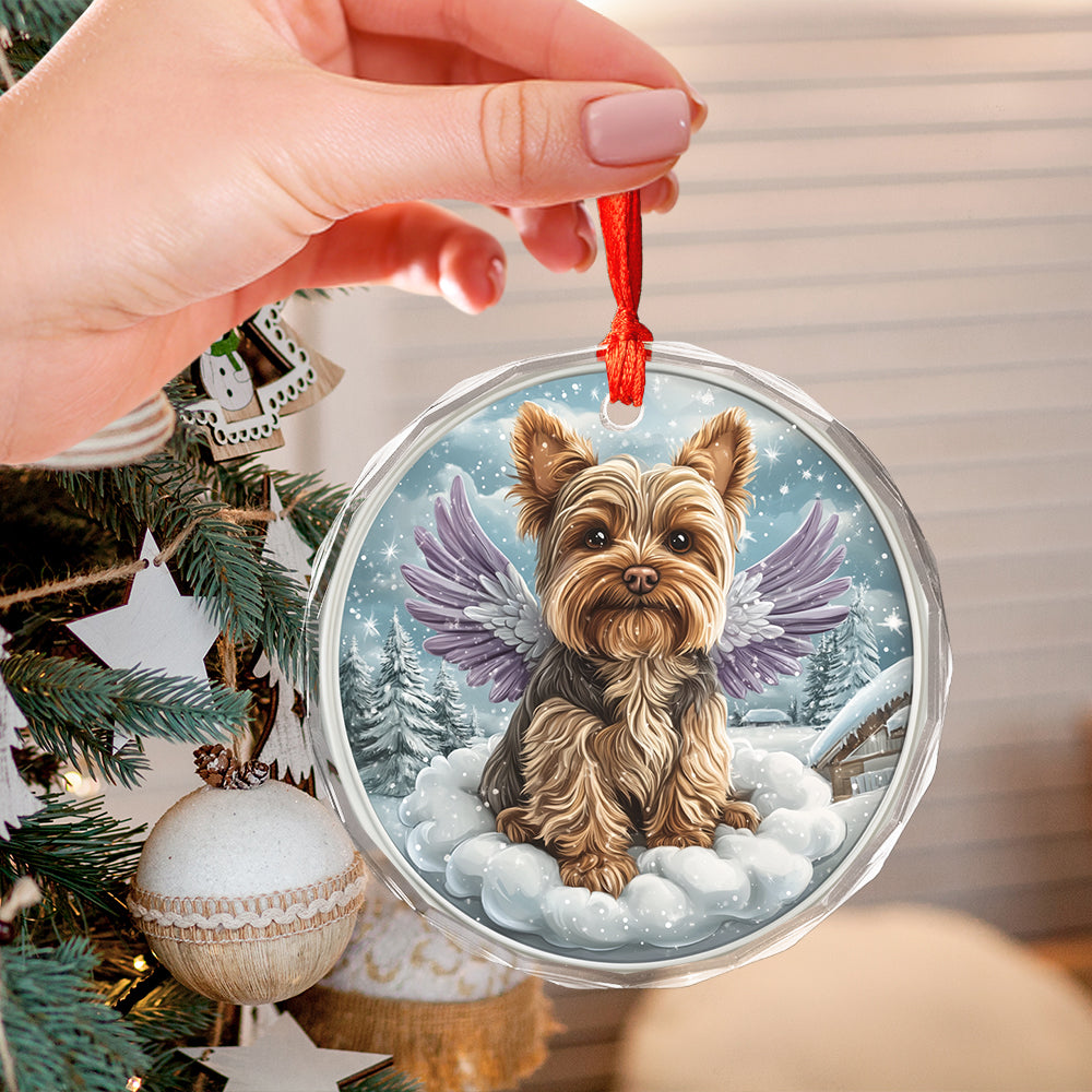 Angel Yorkshire Terrier Dog 2