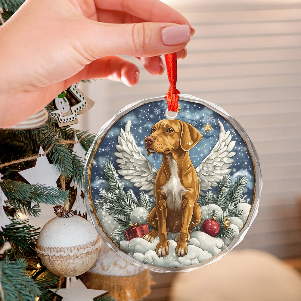Angel Rhodesian Ridgeback Dog 1