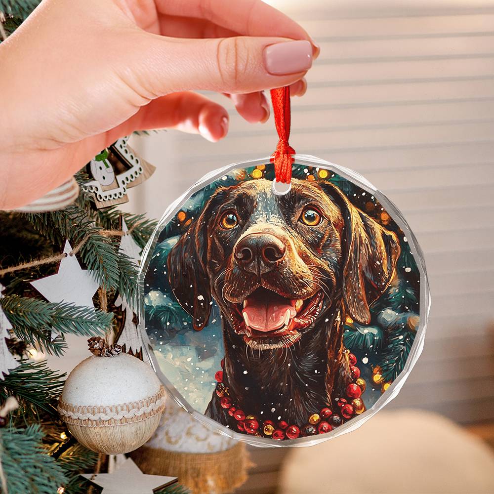 Beautiful Angus German Shorthaired Pointer Dog Christmas Night Design 3 Glass Ornament