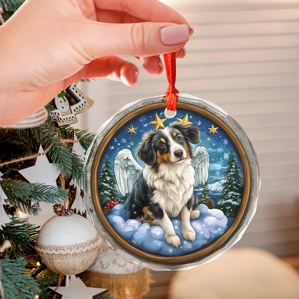 Angel Australian Shepherd Dog 2