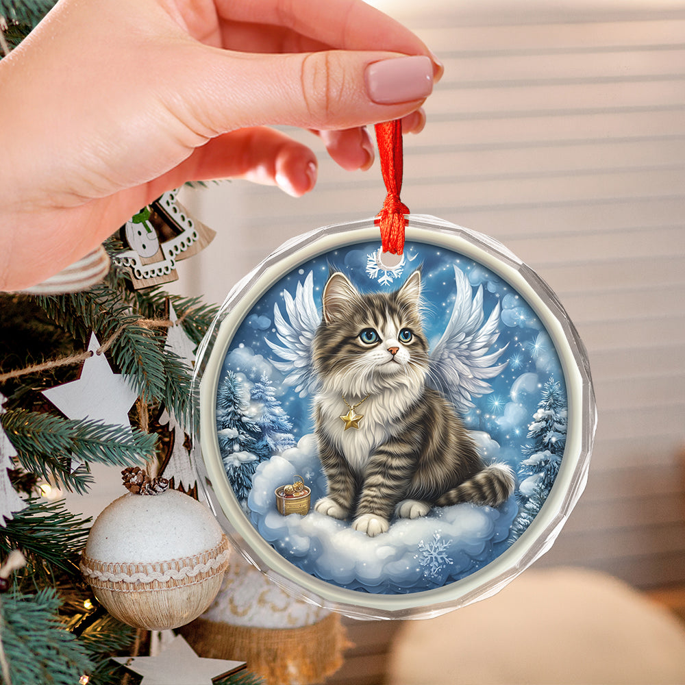 Angel Norwegian Forest Cat 1