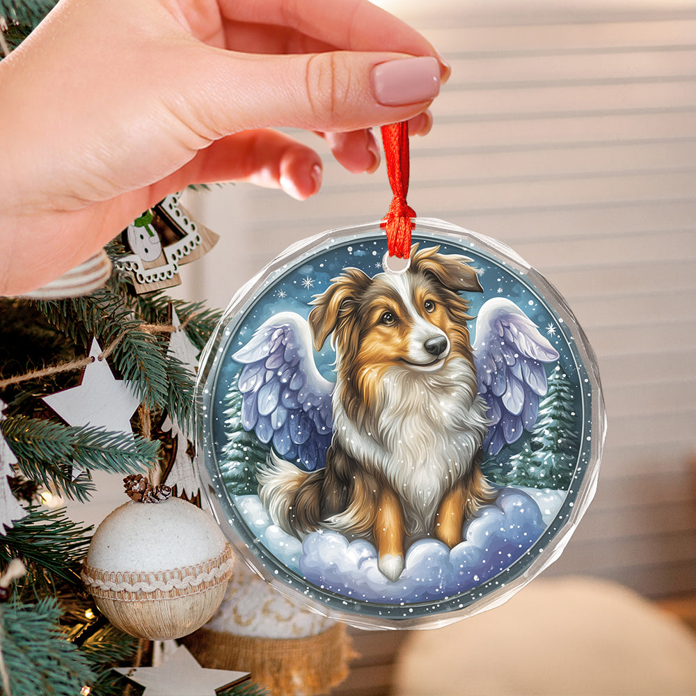 Angel Shetland Sheepdog 4