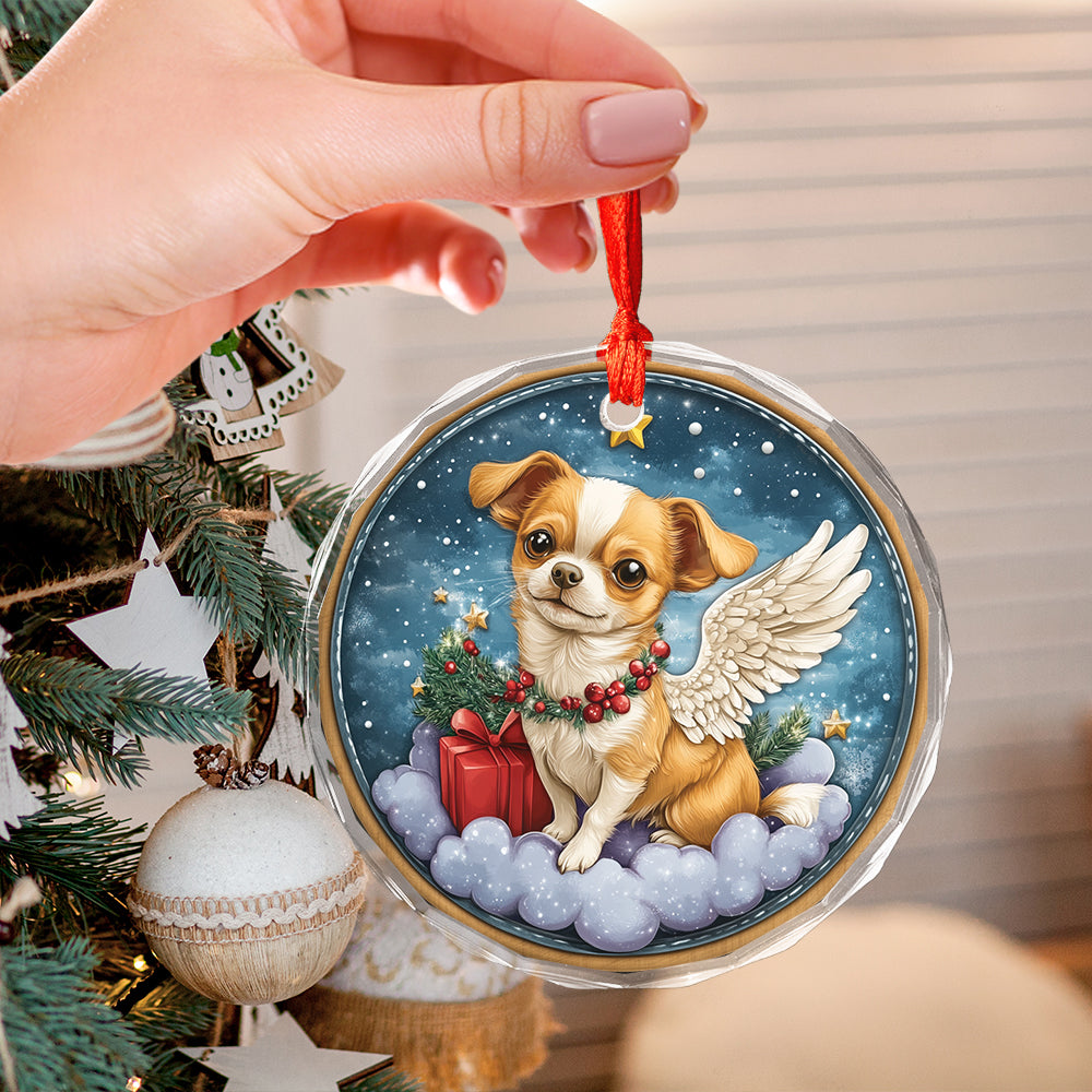 Angel Chihuahua Dog 1